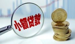 成都私人哪里可以小额贷款-成都私人哪里有民间借贷-成都私人民间短期私借借款